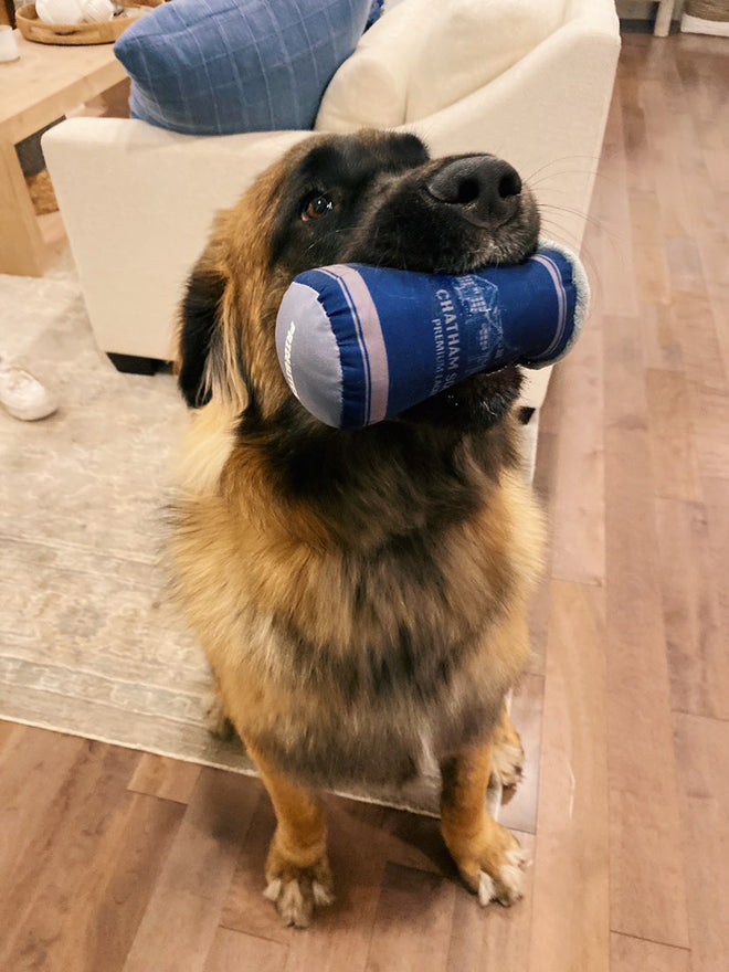 Squire Lager Dog Toy
