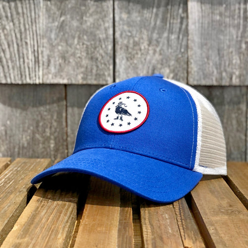 Seagull in the Stars Trucker